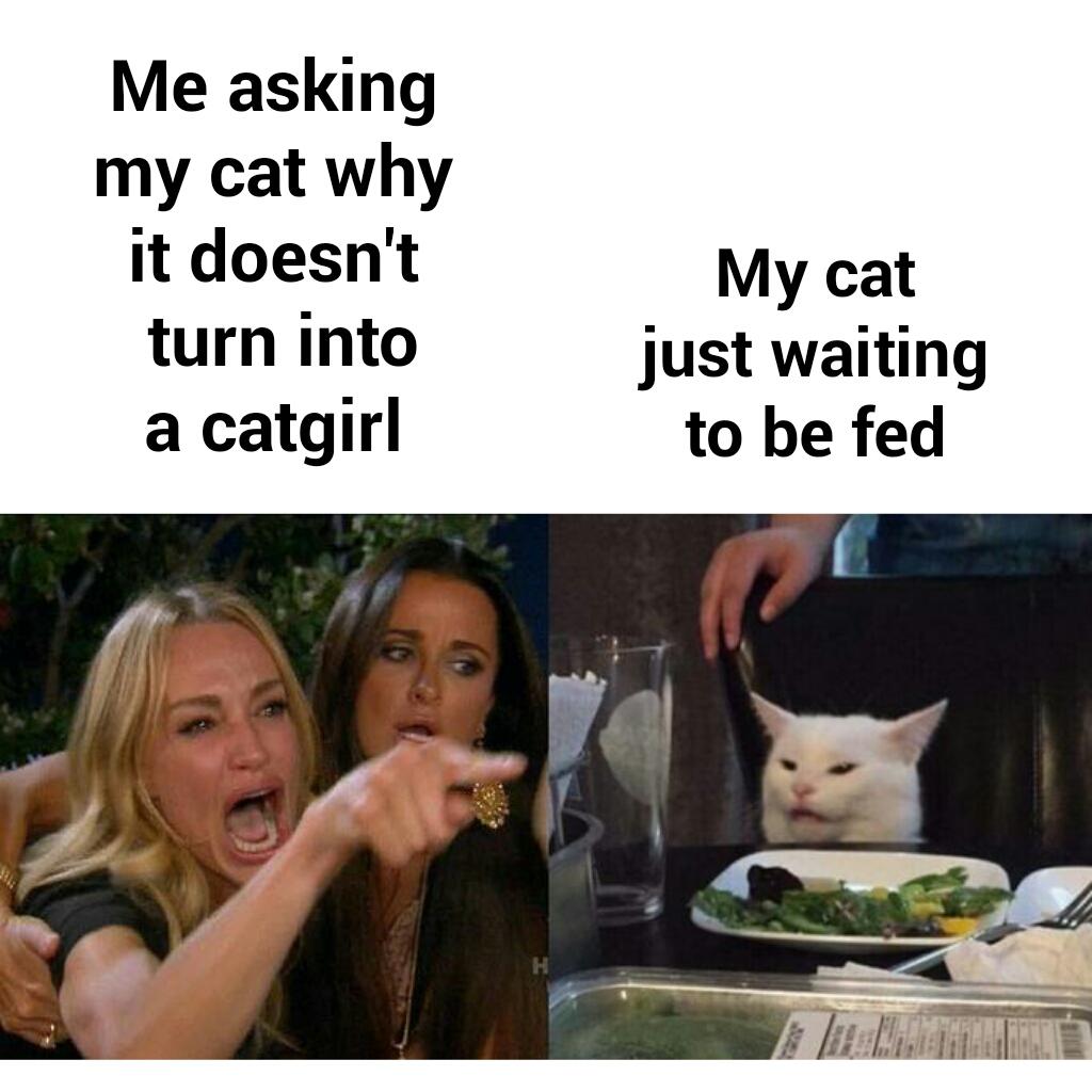 Transform For Me nyaa