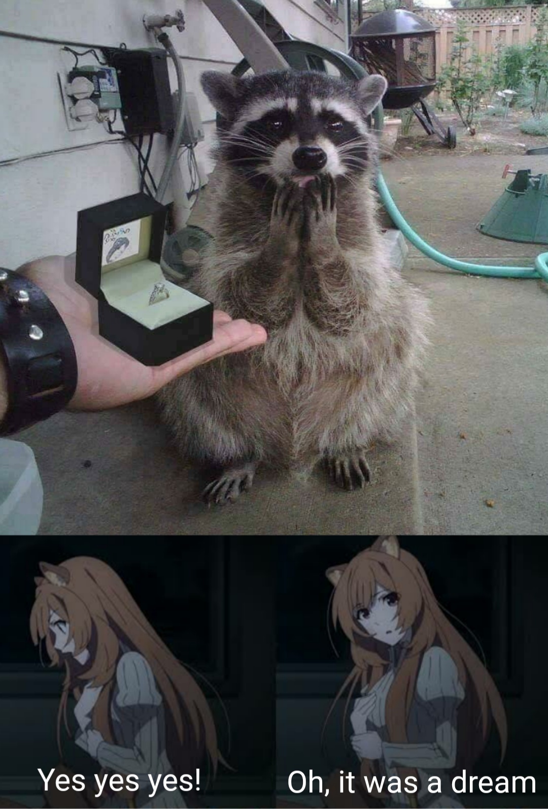 The Rising of The Shield Hero #173