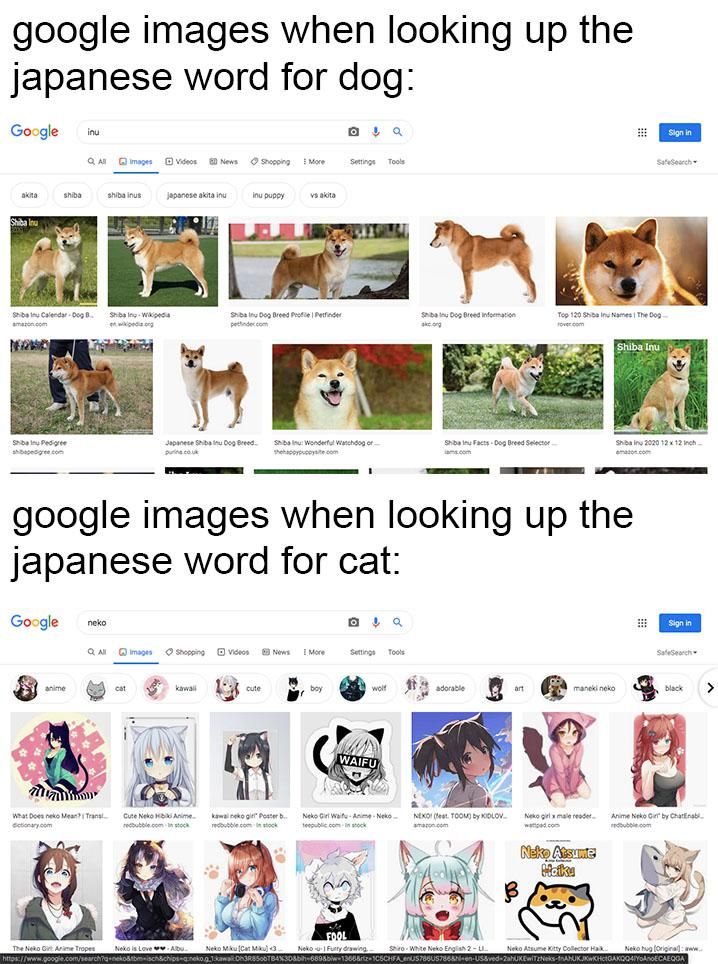 Are We Gonna Ruin Everything