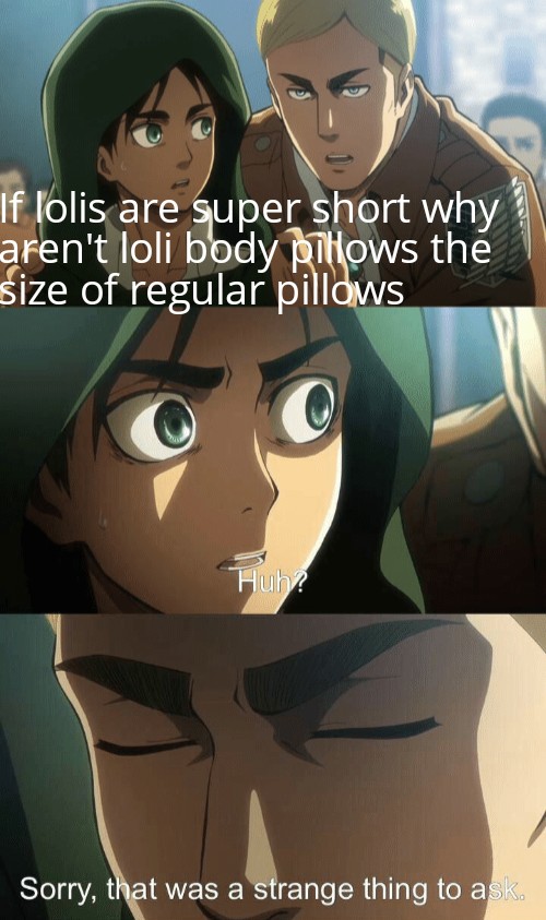 Erwin Meme #15