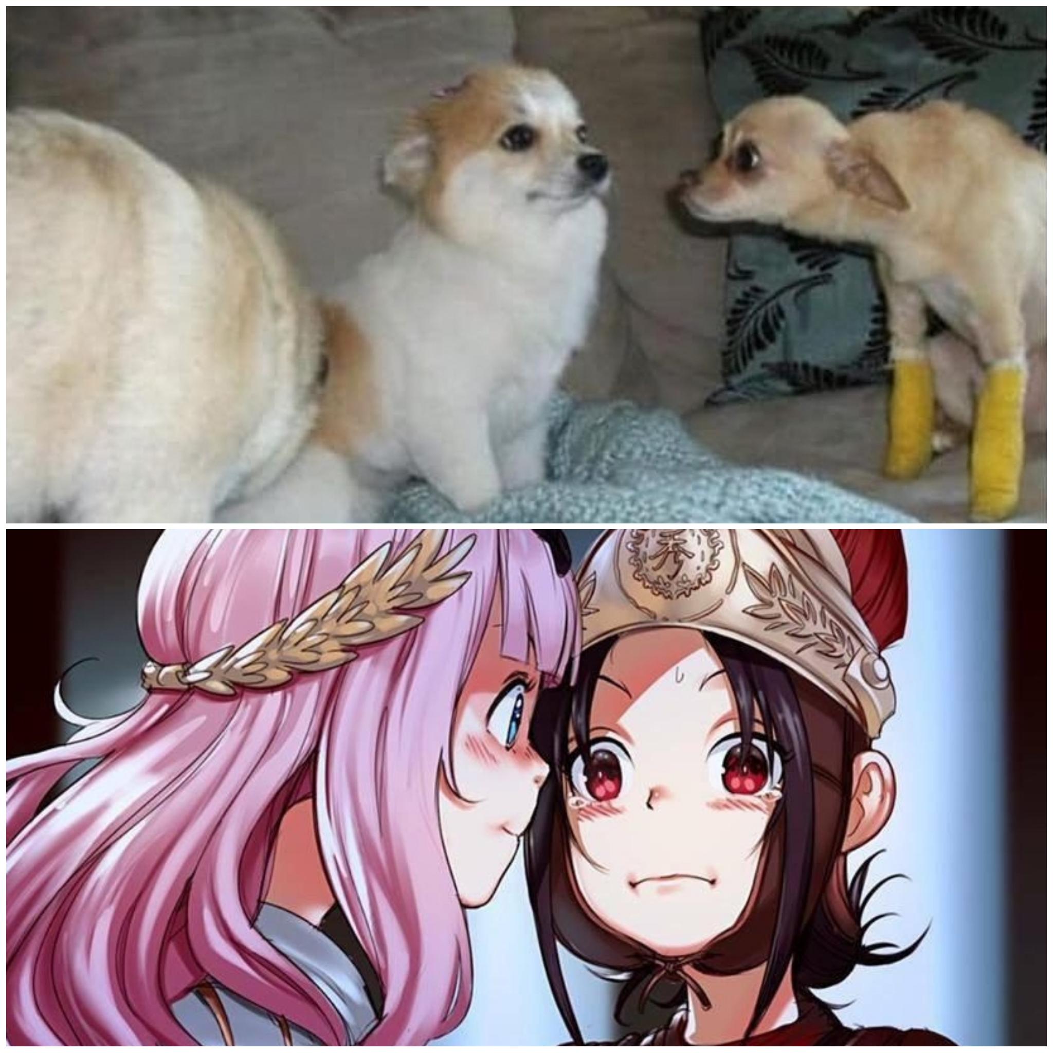 Kaguya-sama Love is War #5