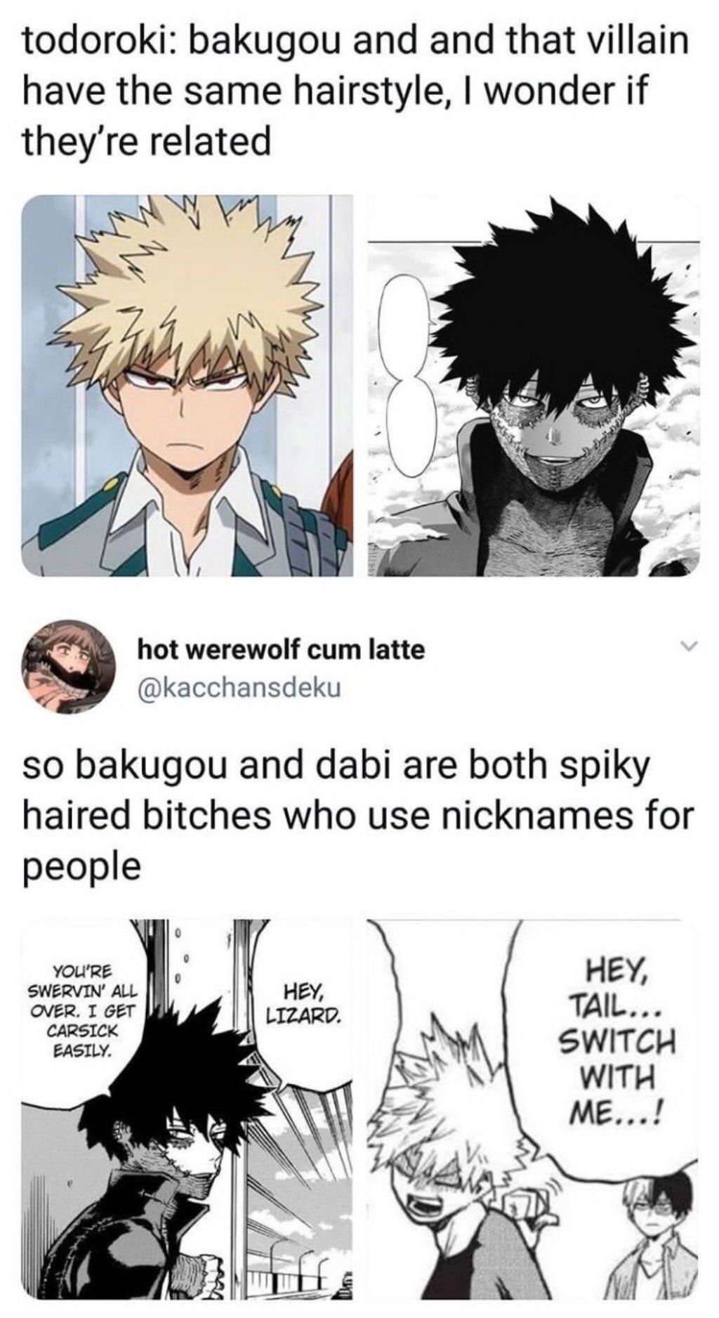 Boku no Hero Academia #221