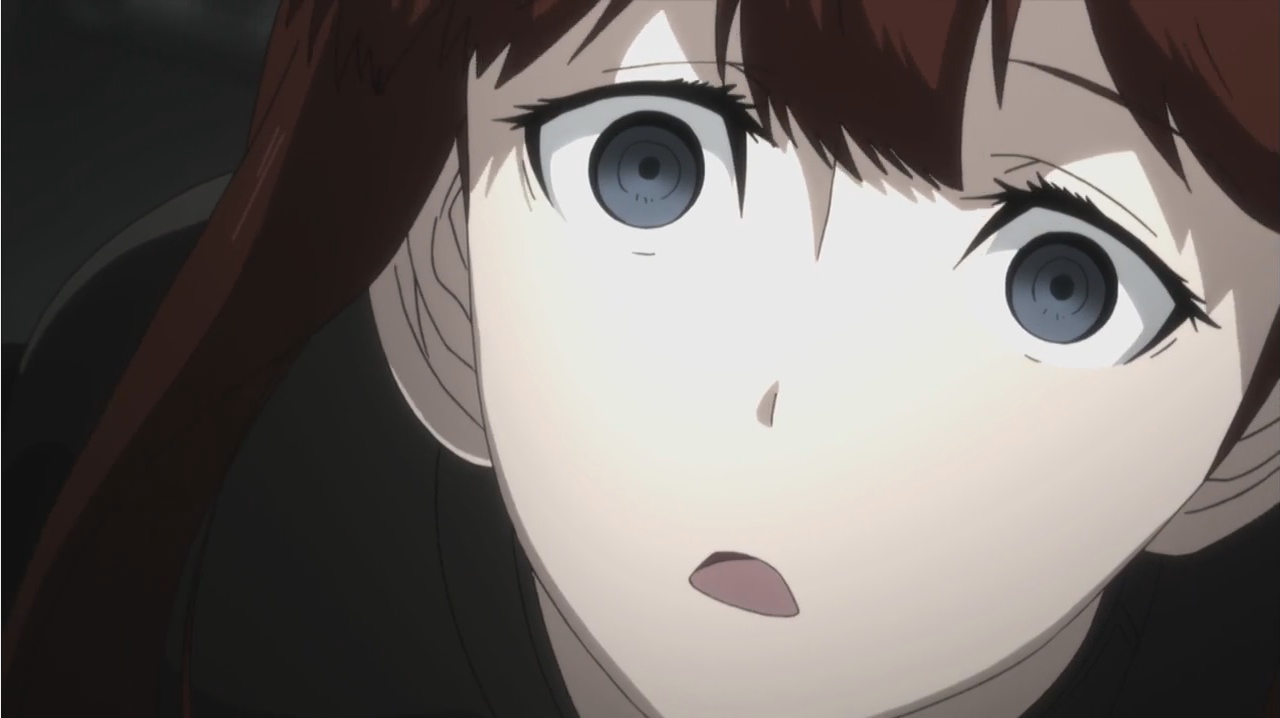Steins Gate #25