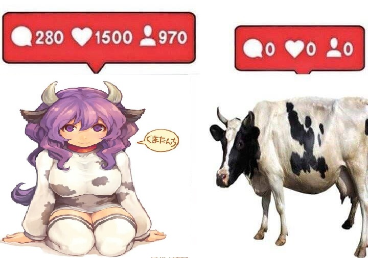 No Discrimination even if Animal