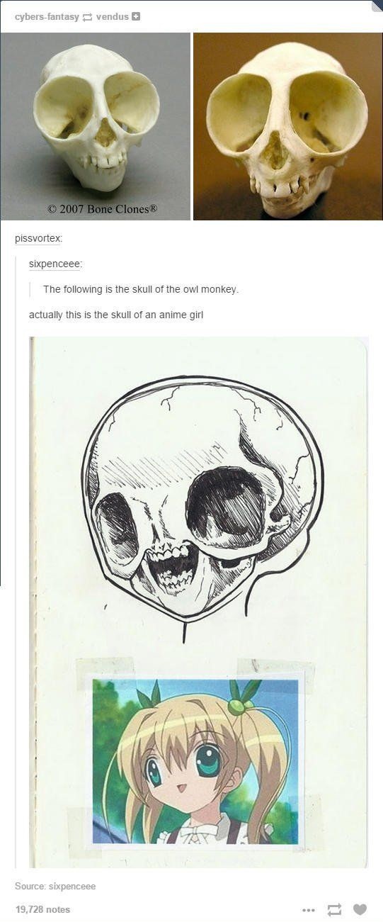 Anime Was Real After All