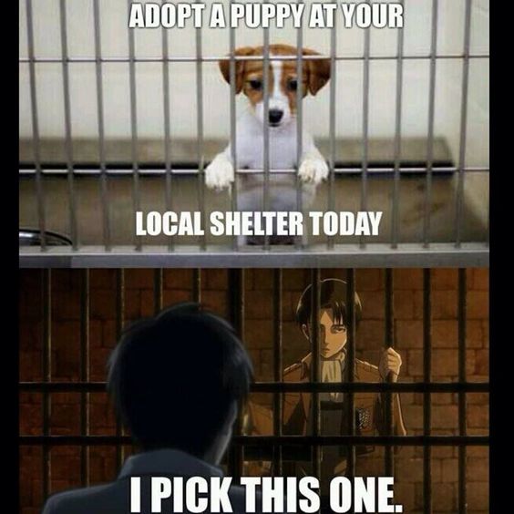 Shingeki no Kyoujin #35