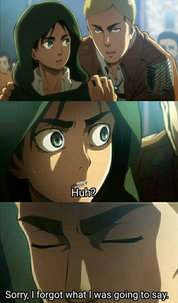 Erwin Meme #4