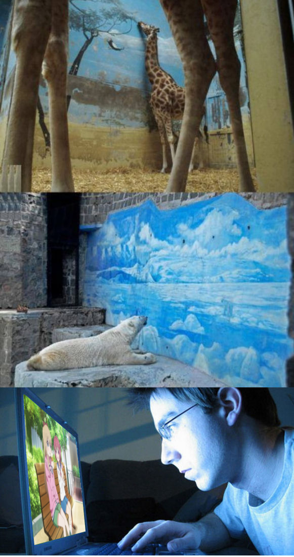 Haha Animals so stupid