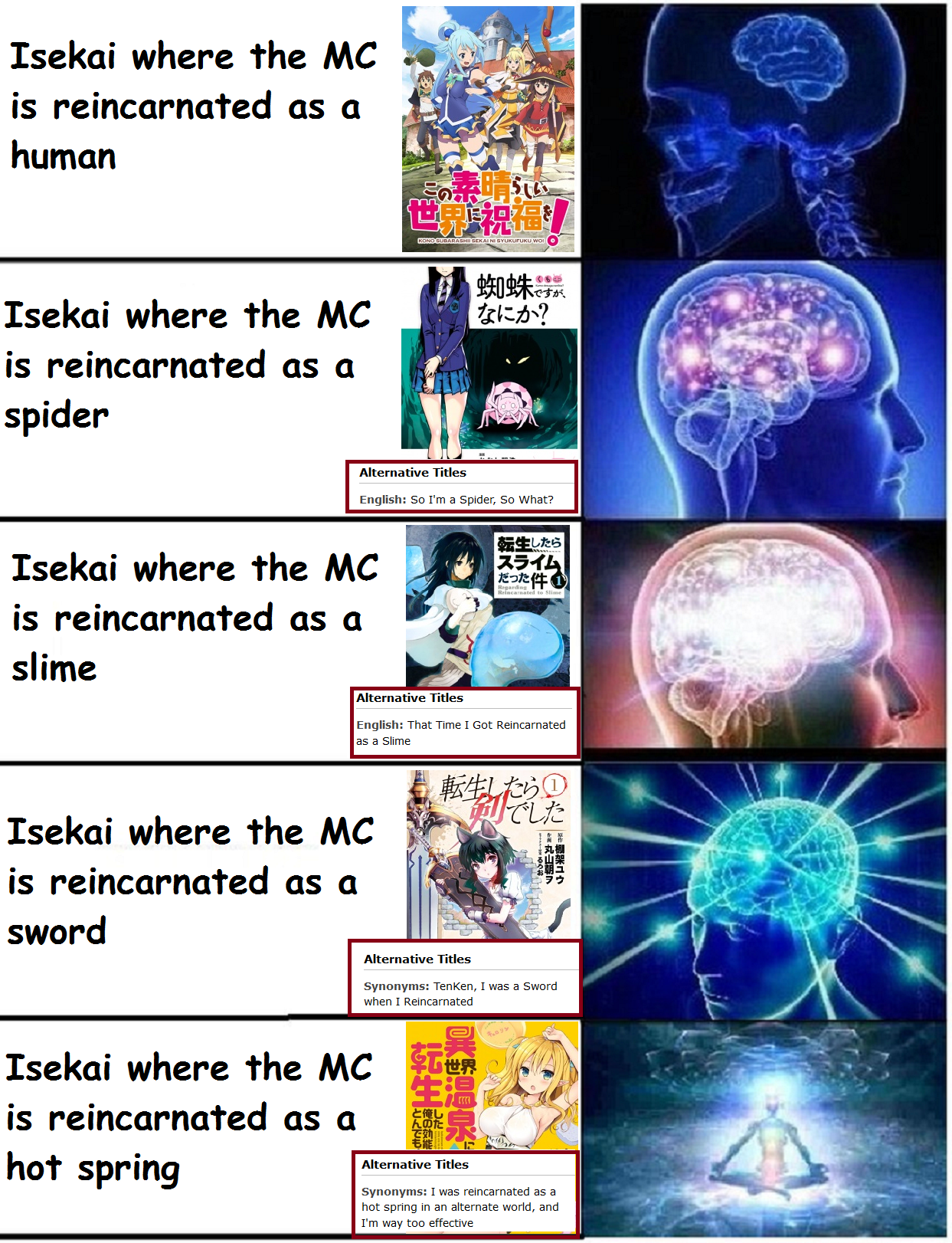 Isekai Where MC is reincarnated as Clothes?