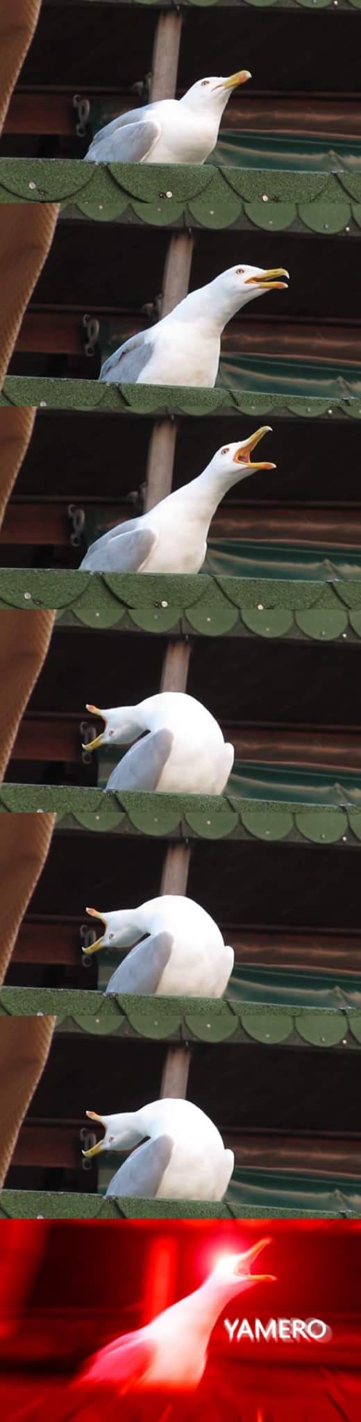 When Flashbacks are Being Shown