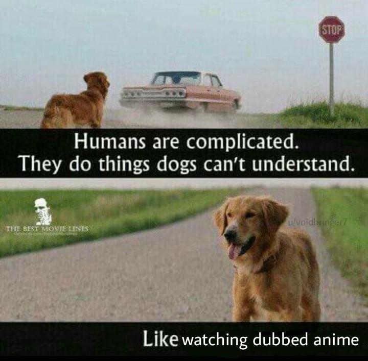 1$ Food vs 100$ Food