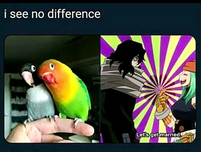 Boku no Hero Academia #263