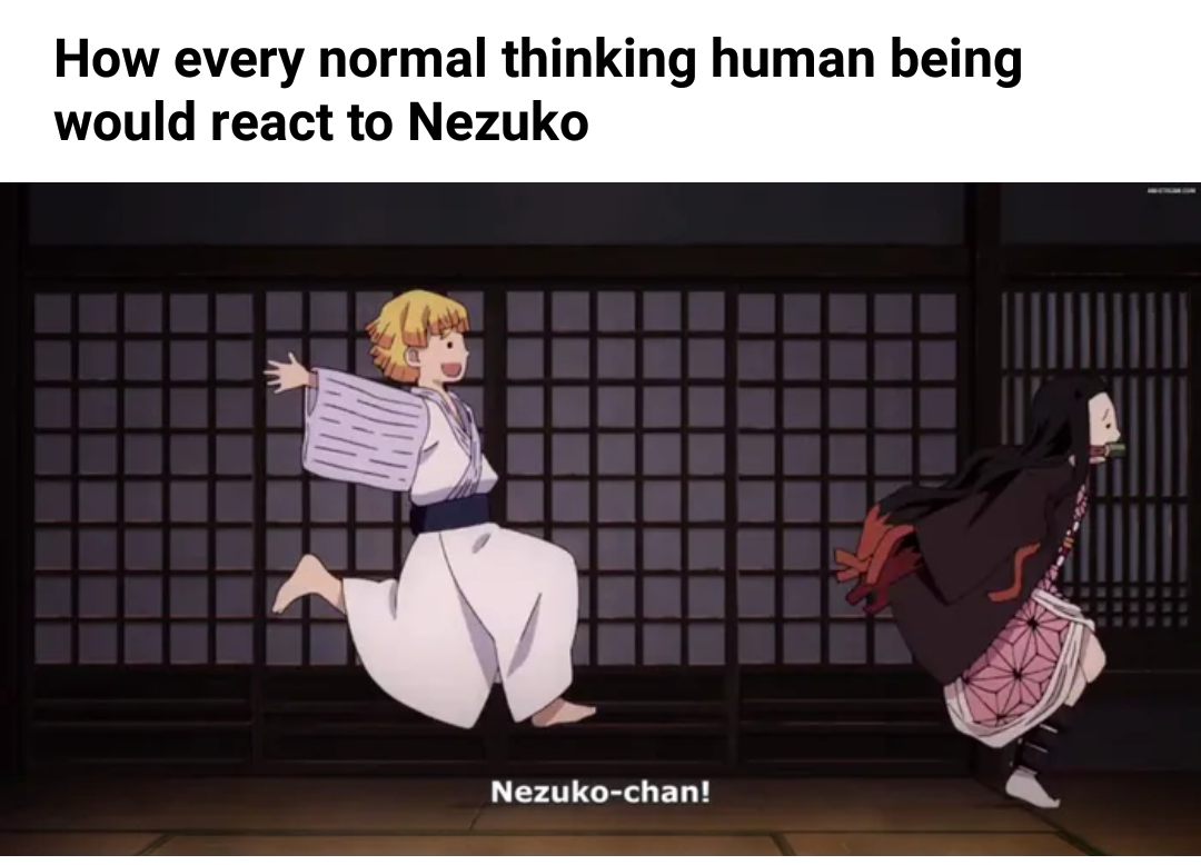 Kimetsu no Yaiba #24