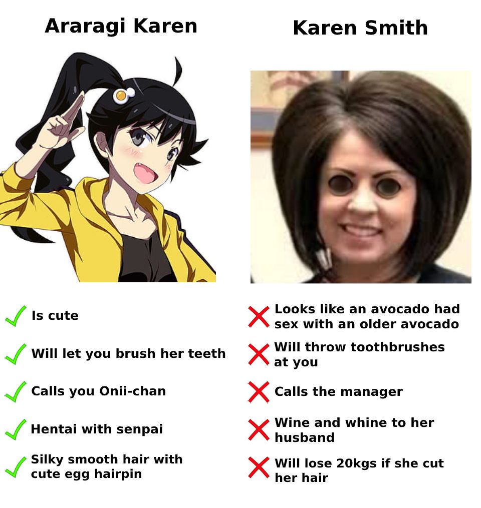 Monogatari Series #48