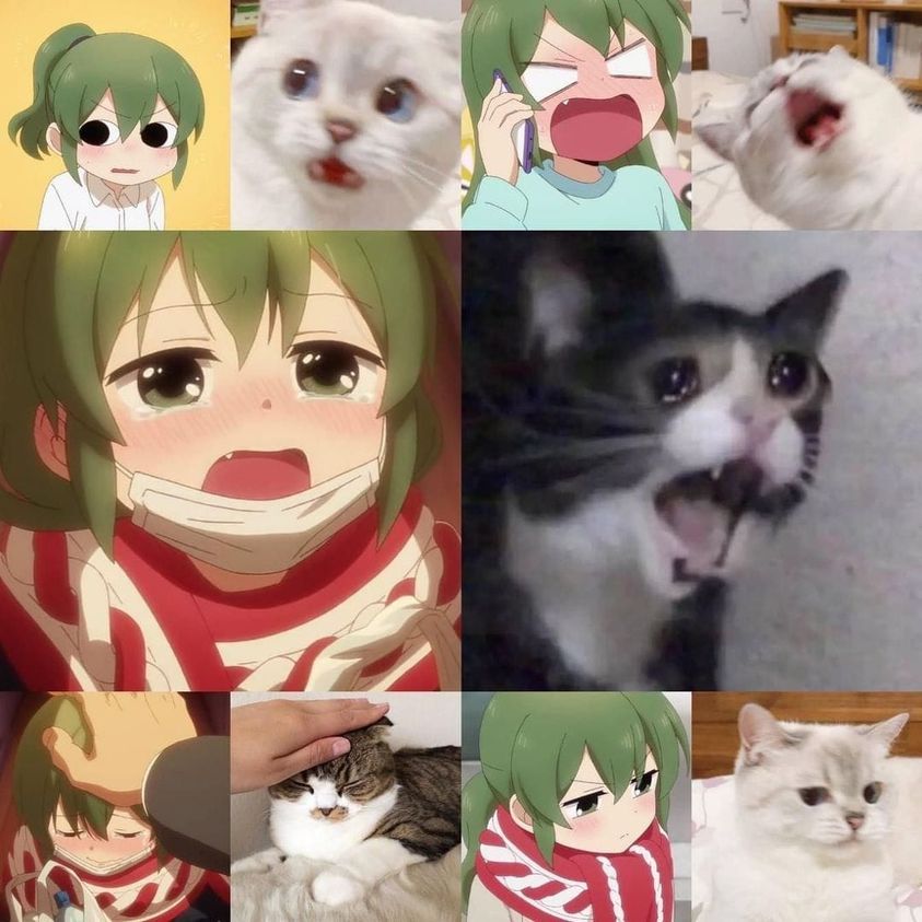 My Senpai is Annoying #11