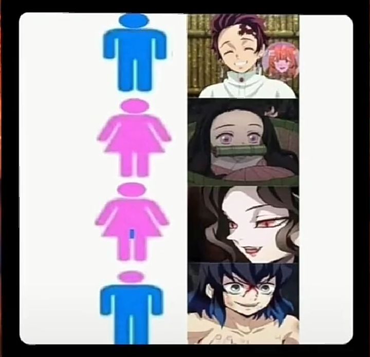 Kimetsu no Yaiba #335