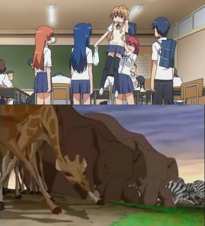 Toradora #16