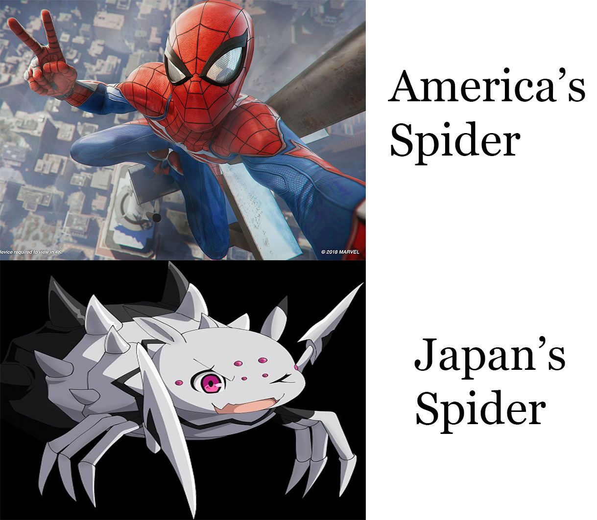 Kumo desu ga, Nani ka?