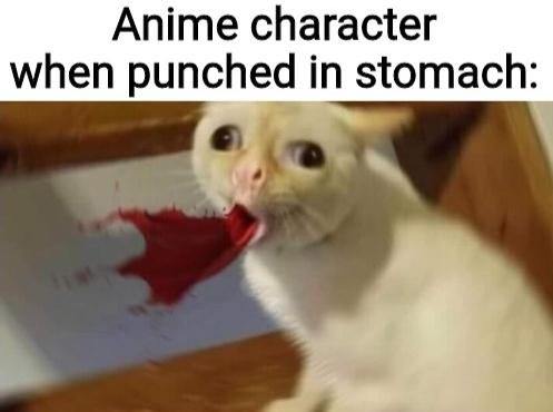 Its Actually Watermelon Juice