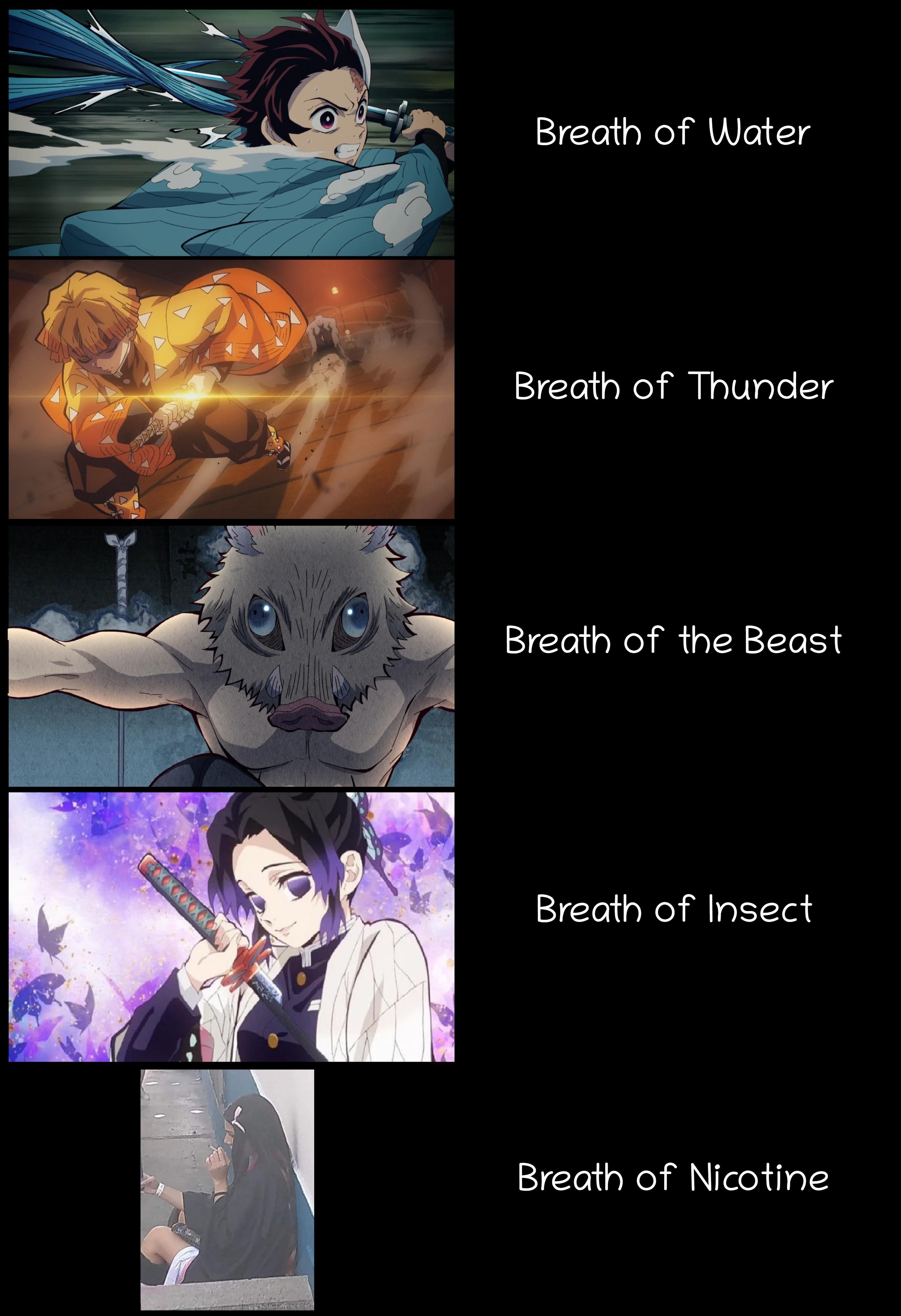 Kimetsu no Yaiba #272