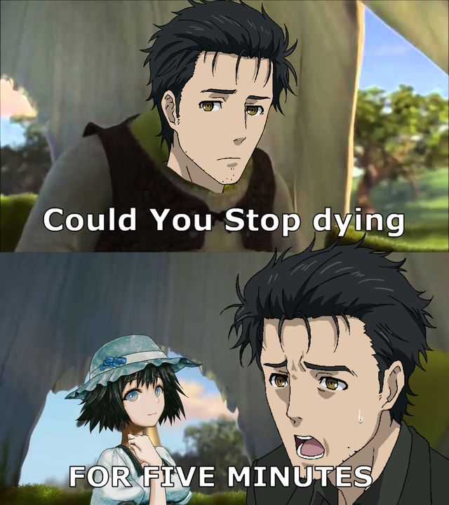 Steins Gate #33