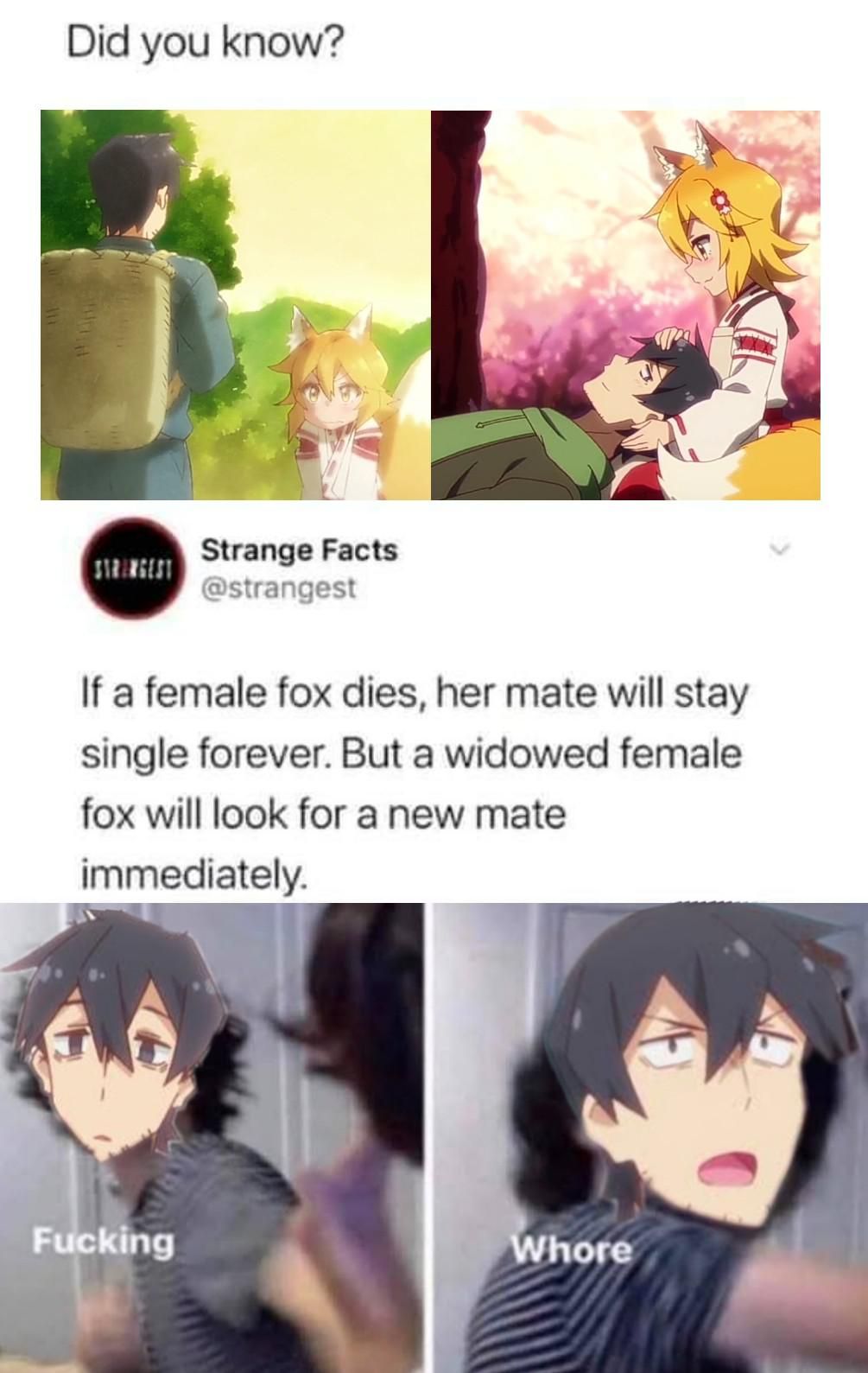 Sewayaki Kitsune no Senko-san #46