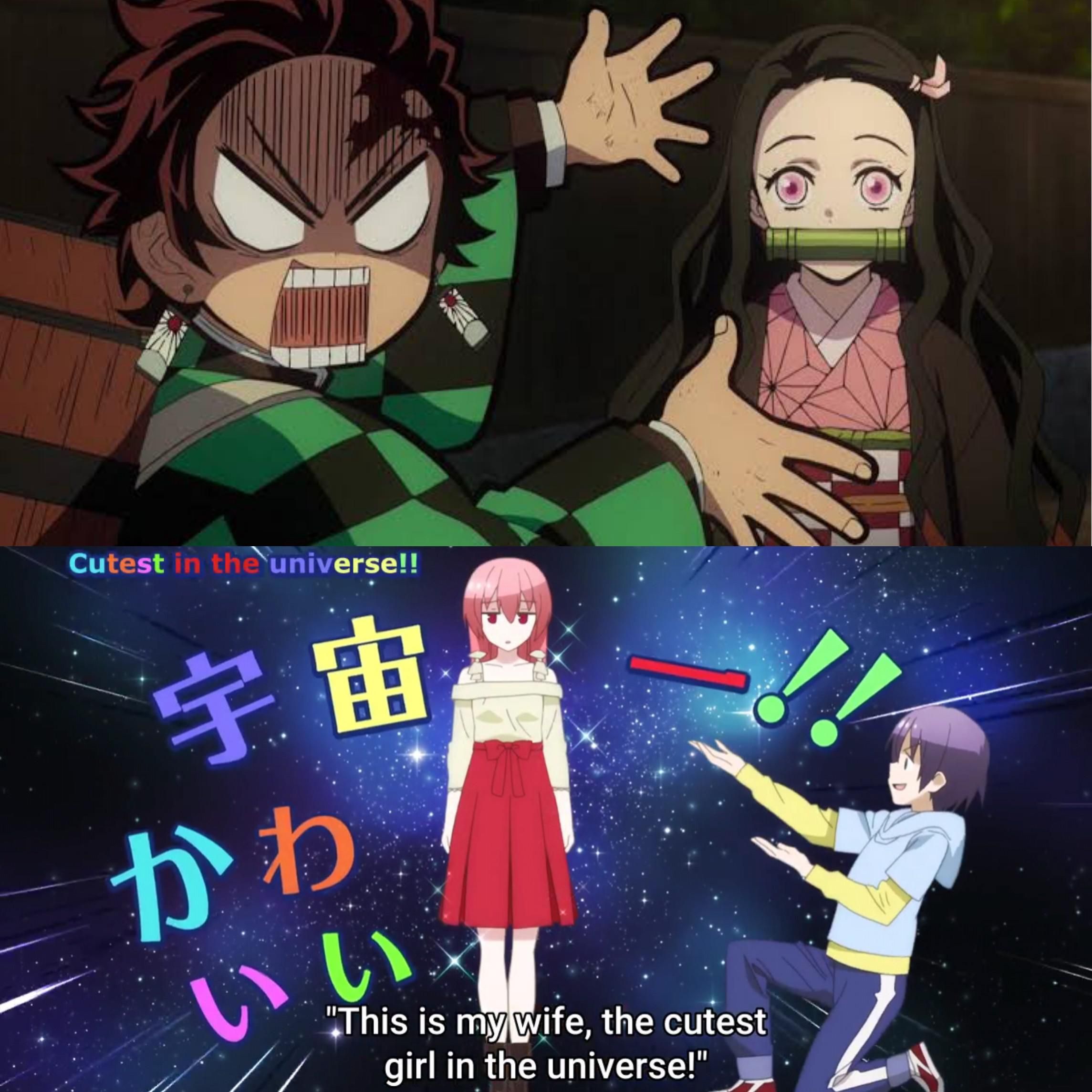 Presenting the One you Love