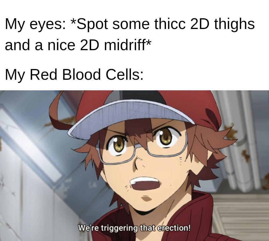 Hataraku Saibou #101