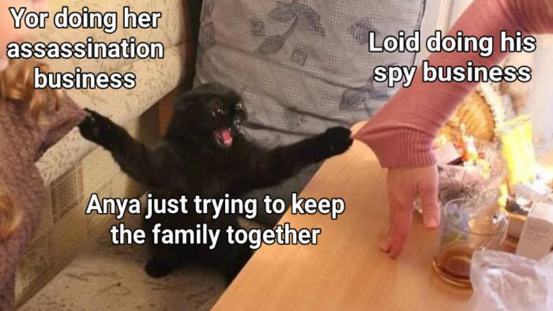 Spy x Family #15