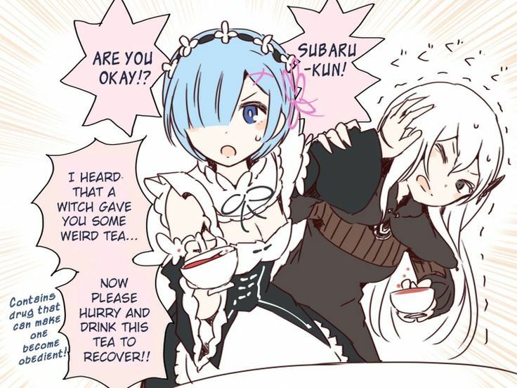 Re Zero #275