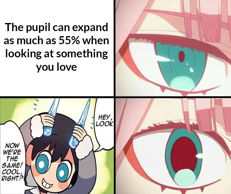 Darling in The Franxx #112